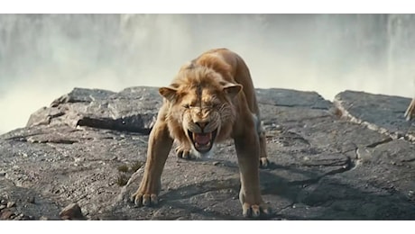 Mufasa: Il Re Leone trionfa al box office italiano, batte Siani, Pieraccioni e Ozpetek