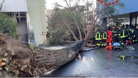 Tragedia all’Università di Salerno: il 25enne è in pericolo di vita dopo la caduta di un albero