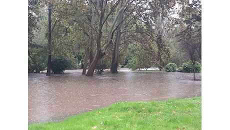 Maltempo Milano, “oltre 70mm in 12 ore, allagati i prati di Parco Lambro”