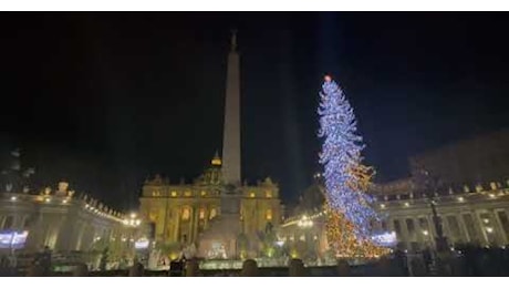 VIDEO. E' stato acceso in piazza San Pietro l'abete della val di Ledro: Simbolo delle nostre montagne e del nostro modo di vivere