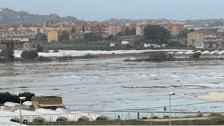 Maltempo, danni e disagi: situazione critica a Licata. Ad Agrigento due alberi caduti sulle auto