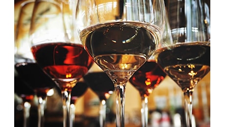 Vendite di vino in Gdo: volumi in calo del 2,5% nel primo semestre