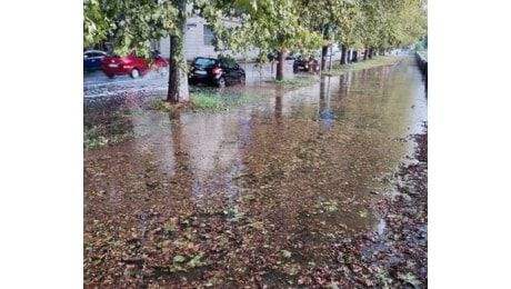 Lungo Dora Firenze allagato, il grido di dolore di un lettore: 'Appena piove, finisce sempre così'