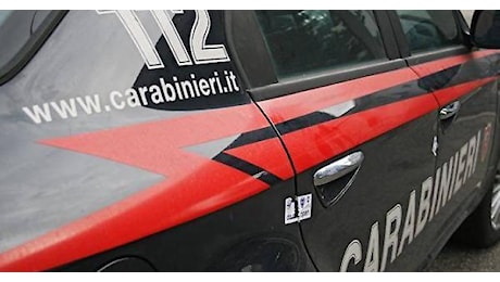 Lotta a criminalità, violenza di genere e caporalato. Il bilancio dei carabinieri nel 2024