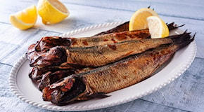 Aringhe e sardine al posto della carne rossa: salverebbero 750mila vite all'anno