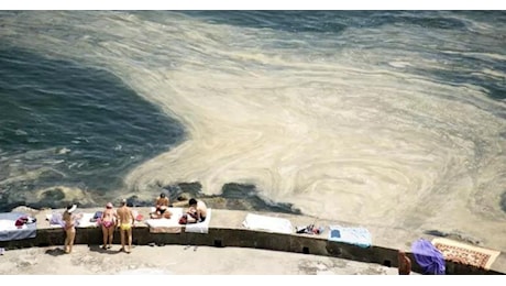 Mucillagini e alghe: fenomeno Inusuale sulla costa marchigiana