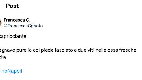 Torino-Napoli 0-1, le reazioni social: “Raccapricciante. Pure io facevo questo gol”