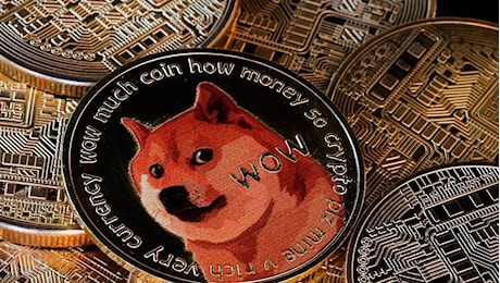 Cosa sono i Dogecoin che piacciono tanto a Elon Musk