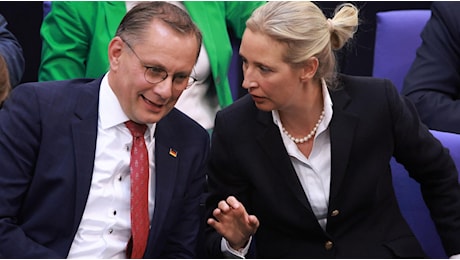 I Servizi tedeschi: Afd distingue tra tedeschi veri di serie B. E vuole la guerra al governo
