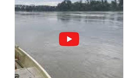 Meteo Video, la piena del Fiume Po vista dall'autostrada A22 da Mantova sud