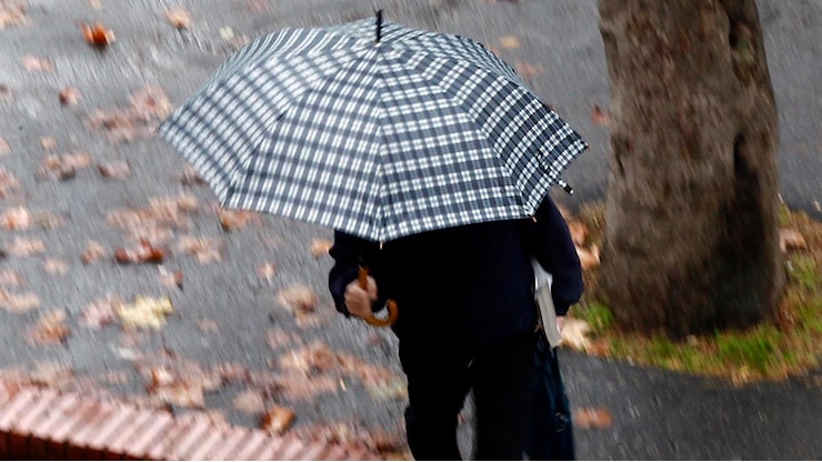 Toscana, torna il maltempo: dopo una parentesi di sole, pioggia in arrivo da stanotte - La Nazione Toscana, torna il maltempo: dopo una parentesi di sole, pioggia in arrivo da stanotte - La Nazione