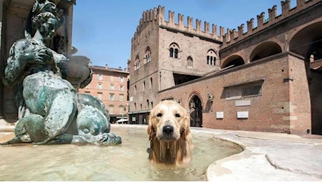 Caldo a oltranza in Emilia-Romagna: ecco fino a quando