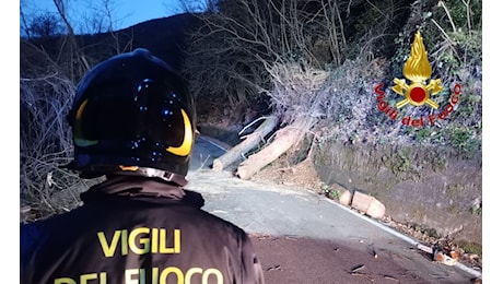 Vento forte nel Luinese: vigili del fuoco in azione per alberi caduti e strade bloccate