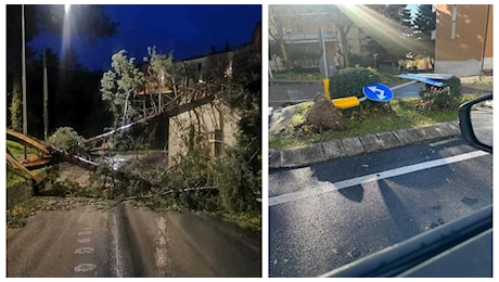 Forti raffiche di vento in tutte le Marche: danni a alberi, insegne e impalcature. Nevischio su Pesaro e Fano ► Gli aggiornamenti in tempo reale