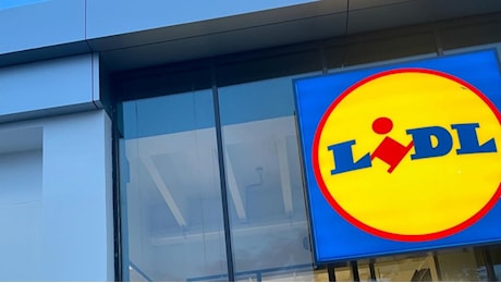 Puoi dire addio ai termosifoni: spegnili per sempre e smettila di piangere | Da Lidl risolvi con 79€