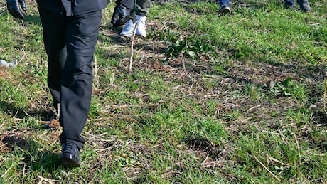 Mistero nel bosco. Trovato morto da un passante