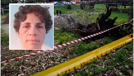 Albero crolla e uccide Francesca Ianni a Colli Aniene. Testimonianze: le urla dei figli e l'ira dei residenti