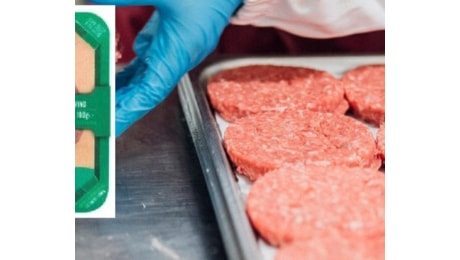 Allarme salmonella negli hamburger, richiamo del Ministero della Salute: ecco il prodotto e i lotti interessati