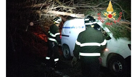 Interviene sulla statale 280 per una voragine ma viene colpito da un albero