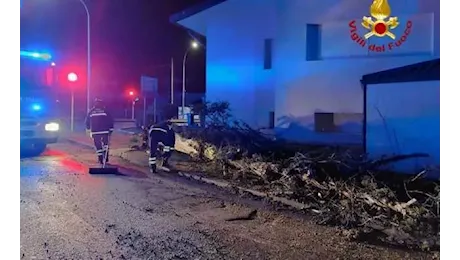 Alberi caduti nell'Oristanese, a Orotelli una tettoia piomba sulle auto parcheggiate: i danni del vento