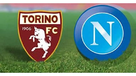 Torino-Napoli, le mosse degli allenatori