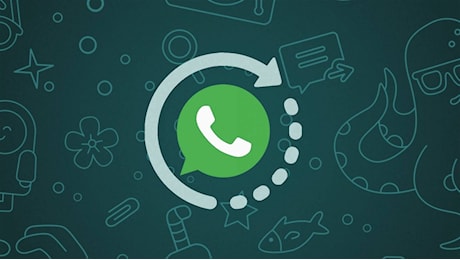 WhatsApp non funzionerà più su 19 modelli di smartphone Android dal 1° gennaio 2025