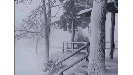 Romagna sotto la neve e Appennino sempre più bianco VIDEO