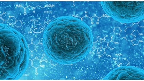 Batteri specchio, l'allarme degli scienziati: «A rischio la vita sulla Terra. Possibili nuove epidemie». Cosa sono