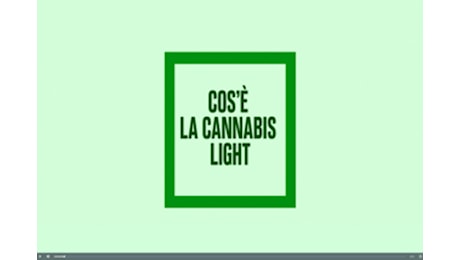 Che cos'e' la cannabis light