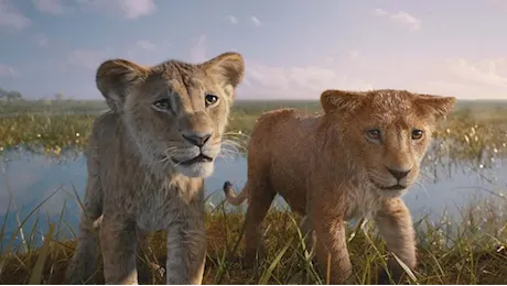 “Mufasa – Il re leone”: quando il troppo stroppia