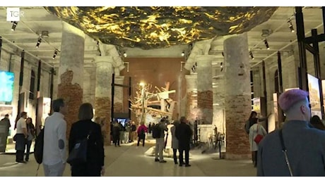 Domicidio: il presidente della Biennale denuncia l'uccisione della casa
