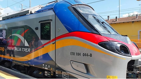 Capotreno chiede il biglietto e viene tempestato di pugni