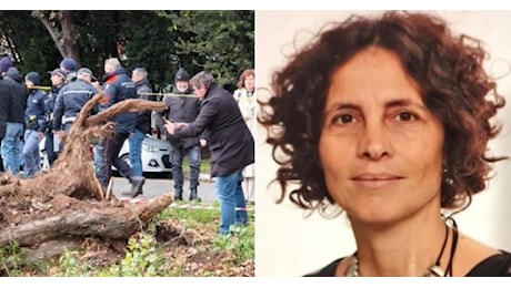 Francesca Ianni, morta schiacciata da un albero davanti ai figli, i vicini: Nessuna manutenzione, il parco è abbandonato, vergogna