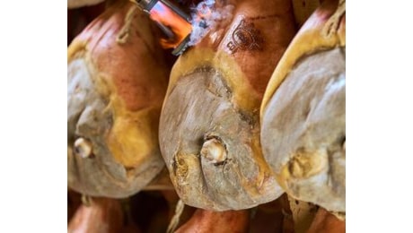 Consorzio Prosciutto di Parma e Unione Parmense degli Industriali insieme contro la Peste Suina Africana