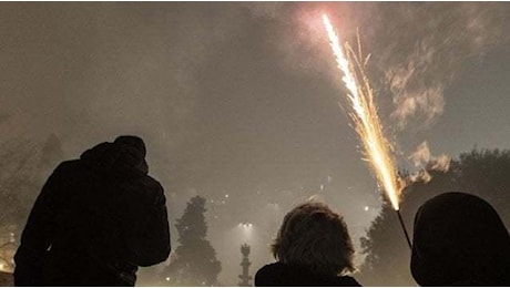 Capodanno nelle Marche, botti vietati e appello per il benessere degli animali: ecco dove