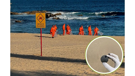 Che cosa sono le misteriose sfere nere che hanno invaso le spiagge di Sydney?