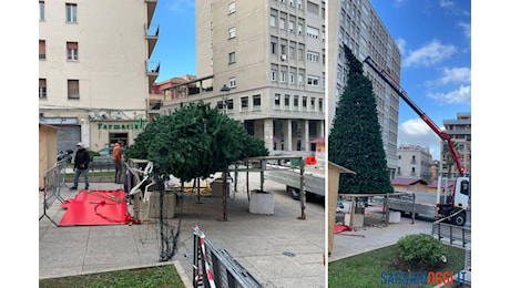 Il vento abbatte il Natale di Sassari, crolla l’albero di piazza Castello