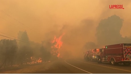 VIDEO California, incendi nel nord: oltre 3mila evacuati
