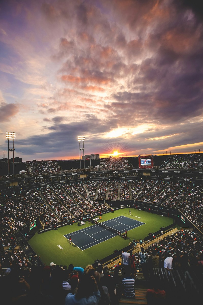 Tutto sulle Nitto Atp Finals 2024 Sinner favorito? (oudd)