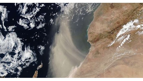 La sabbia del Sahara fa fiorire la vita nell'oceano Atlantico