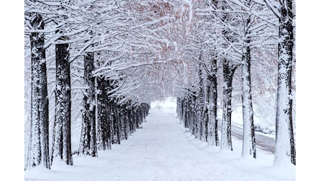 Meteo: ciclone pieno di maltempo, arriva la neve in pianura?