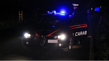 Albero cade sulla Monti Lepini e invade la strada, il pericolo nella notte: soccorsi in zona Asi