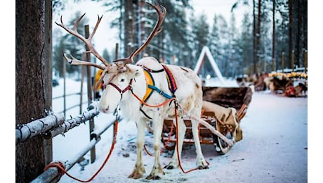 Santa Claus a Rovaniemi, la magia del Natale che vale 400 milioni di euro