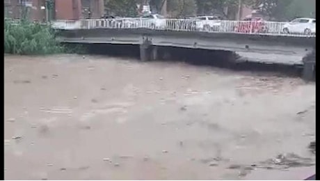 Maltempo in Liguria, il torrente Letimbro in piena a Savona