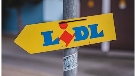 LIDL ti fa un regalo per la festa di Ognissanti | È in vendita il robot aspirapolvere senza fili che lava anche tutta la casa: costa meno di 100€, ma ci sono pochi pezzi