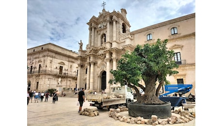 La quinta giornata DiviNazione Expo a Siracusa: inaugurazione del G7 Giovani