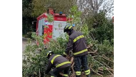 Raffiche di vento, alberi caduti e pali della luce divelti. Centinaia gli interventi dei vigili del fuoco