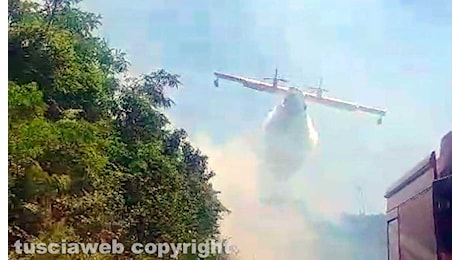 Cinque ore per domare l'incendio a ridosso della Cassia Bis, circa 22 ettari di terreno bruciati