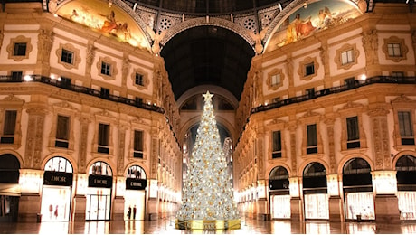 Dior accende l'albero di Natale a Milano e gli altri eventi natalizi dei brand di bellezza