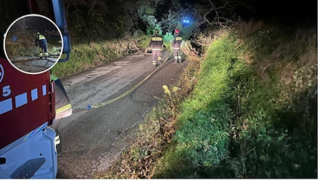 Maltempo, notte da incubo nelle Marche: alberi abbattuti dal vento, strade chiuse e danni